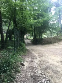Vente Domaine Arboré