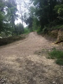 Vente Domaine Arboré