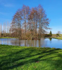 Vente PROPRIETE PECHE LOISIRS DANS L'AVESNOIS (59)