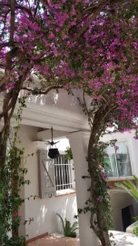 Vente Villa de 1994 avec de belles prestations