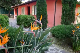 Vente villa à Roquebrune Cap Martin