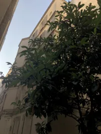 Location Paris 9e - 2 pièces meublé 32m2