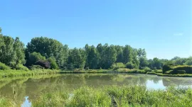 Vente HUTTE DE CHASSE PIGEONS SOMME