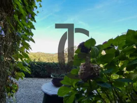 Vente MAISON EN PIERRES PROCHE SAINT FLORENT...