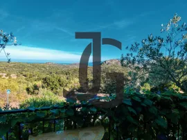 Vente MAISON EN PIERRES PROCHE SAINT FLORENT...