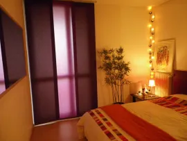 Location T2 meublé 50m² proche métro CHR B-Calmette Lille