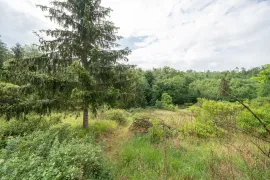 Vente Terrain non constructible - 7 720 m² - Bar-le-Duc
