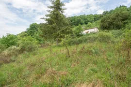 Vente Terrain non constructible - 7 720 m² - Bar-le-Duc