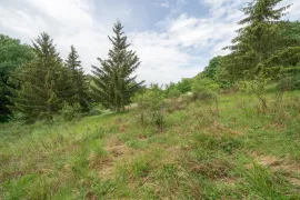 Vente Terrain non constructible - 7 720 m² - Bar-le-Duc