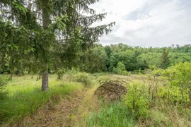 Vente Terrain non constructible - 7 720 m² - Bar-le-Duc