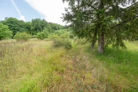 Vente Terrain non constructible - 7 720 m² - Bar-le-Duc
