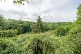 Vente Terrain non constructible - 7 720 m² - Bar-le-Duc