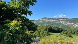 Viager Exclusivité Viager Occupé  Domessin 73330