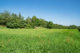 Vente Terrain de 10 287 m² à Chalon-sur-Saône
