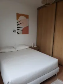 Colocation Grande colocation de 3 personnes dans Bron