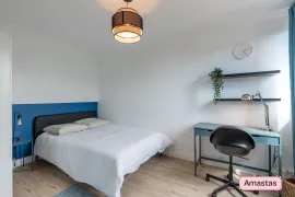 Colocation BELLE COLOCATION DE 4 CHAMBRES SUR VILLEURBANNE - 569544C4