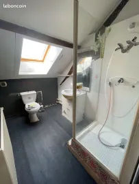 Location Duplex de 50 m2 lumineux proche gare Jean Lebas à Roubaix - 3592824