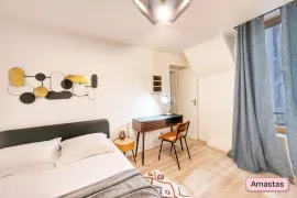 Location LOCATION T2 SUR LYON 7 - 169701