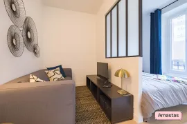 Location Joli appartement de 2 piéces meublé et décoré à Choisy le Roi