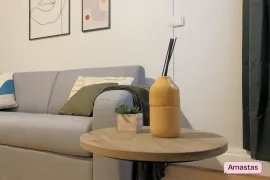 Location Studio meublé et rénové Lille secteur Wazemmes - 159706