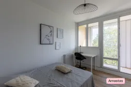 Colocation Une chambre de disponible dans cette colocation de 3 chambres à Pierre Bénite - 469371