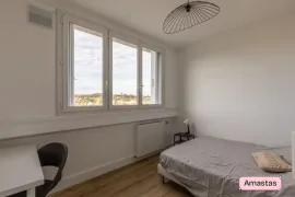 Colocation Une chambre de disponible dans cette colocation de 3 chambres à Pierre Bénite - 469371