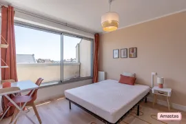 Colocation Colocation lumineuse en duplex dans le centre ville de Bordeaux
