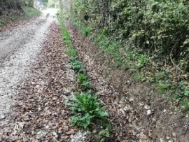 Vente Terrain constructible de 4000m2