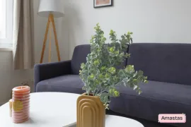 Location Studio meublé avec soin - Roubaix - 1591201