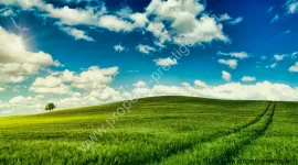 Vente EXPLOITATION AGRICOLE TRES GRANDES SURFACES 500 HA