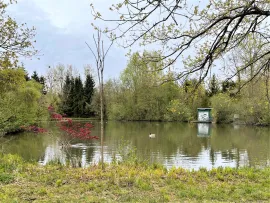 Vente Propriété pêche et chasse sur 4.4 ha