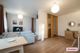Location Joli T1bis meublé et rénové 38m² Patte d'Oie St Cyprien