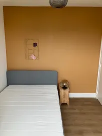 Colocation Colocation de 3 chambres dans un appartement entièrement rénové et meublé à Vaulx en Velin
