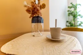 Location T2 rénové et meublé quartier Saint Michel 233863