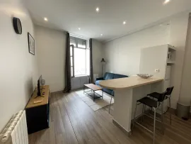 Location Grand studio meublé et équipé à Lyon