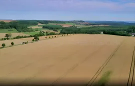 Vente SUD-OUEST NOUVELLE AQUITAINE Exploitation 230 HA