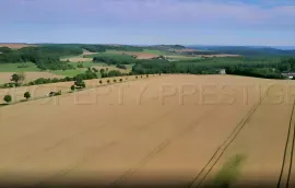 Vente SUD-OUEST NOUVELLE AQUITAINE Exploitation 230 HA