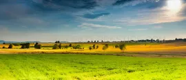 Vente SUD-OUEST NOUVELLE AQUITAINE Exploitation 230 HA