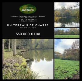 BOIS DE 23.5 HA SUD LAON Laon