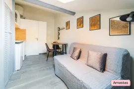 Location STUDIO MEUBLE ET EQUIPE DE 12M2 SUR LYON 7 - 169630