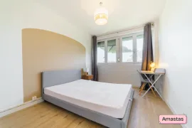 Colocation Colocation de 3 chambres dans cet appartement lumineux avec balcon entièrement meublé et rénové à Villeurbanne