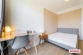 Colocation Colocation de 3 chambres dans cet appartement lumineux avec balcon entièrement meublé et rénové à Villeurbanne
