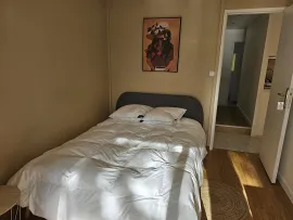 Colocation Une chambre disponible dans cette colocation de 3 chambres dans un appartement meublé et rénové avec 2 grands balcons à Lyon 9