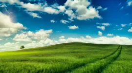 Vente SUD-OUEST - EXPLOITATION AGRICOLE - 1700 HA