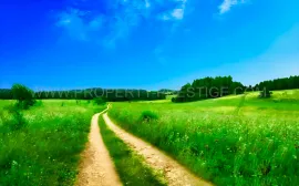 Vente SUD-OUEST - EXPLOITATION AGRICOLE - 1700 HA
