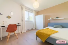 Colocation Colocation de 3 chambres dans un appartement entièrement meublé et rénové avec balcon à Vaulx en Velin