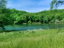 Vente PERIGORD VERT PROPRIETE XIXème 88 HA ETANGS RIVIERE