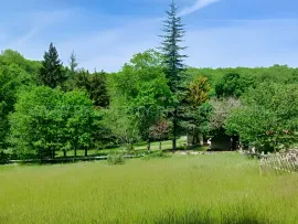 Vente PERIGORD VERT PROPRIETE XIXème 88 HA ETANGS RIVIERE