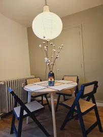 Colocation Colocation de 3 chambres dans un appartement entièrement meublé et rénové à Villeurbanne