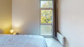 Colocation Colocation de 4 chambres dans un appartement entièrement meublé et rénové avec goût à Lyon 8